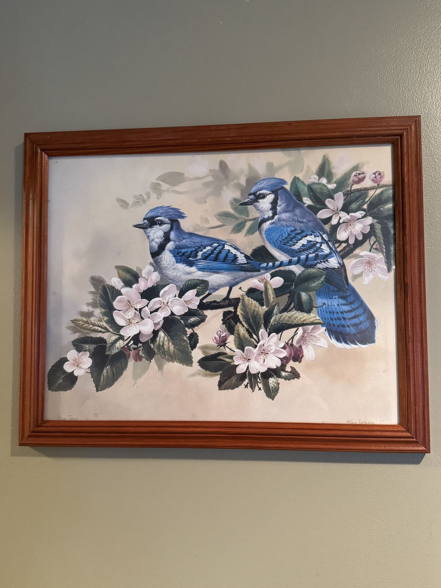 Framed Blue Jays Print