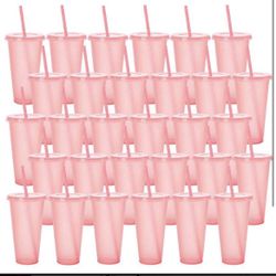 24 Pack Tumbler With Straw And Lid Bulk Cups For Gifts Water Bottle Iced Coffee Travel Mug Cup Reusable Plastic Tumblers For Party Birthdays 24oz
