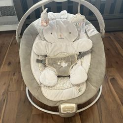Ingenuity Baby Bouncer