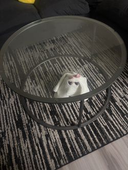 Round Glass coffee table