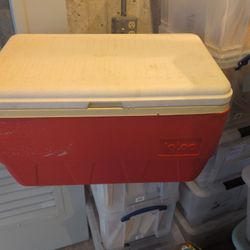 Igloo Cooler - Large