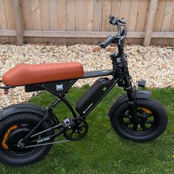 Cycrown run mini vintage moped e-bike 2026 model