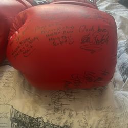 Ken Norton Signed Boxing Gloves 