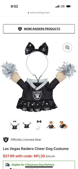 Dog Cheerleader Costume