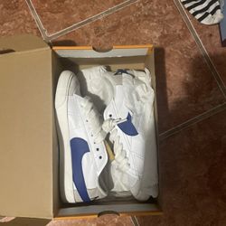 Nike Dunk Lows 