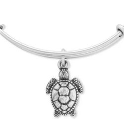 Alex and Ani Silver Sea Turtle Bangle Bracelet