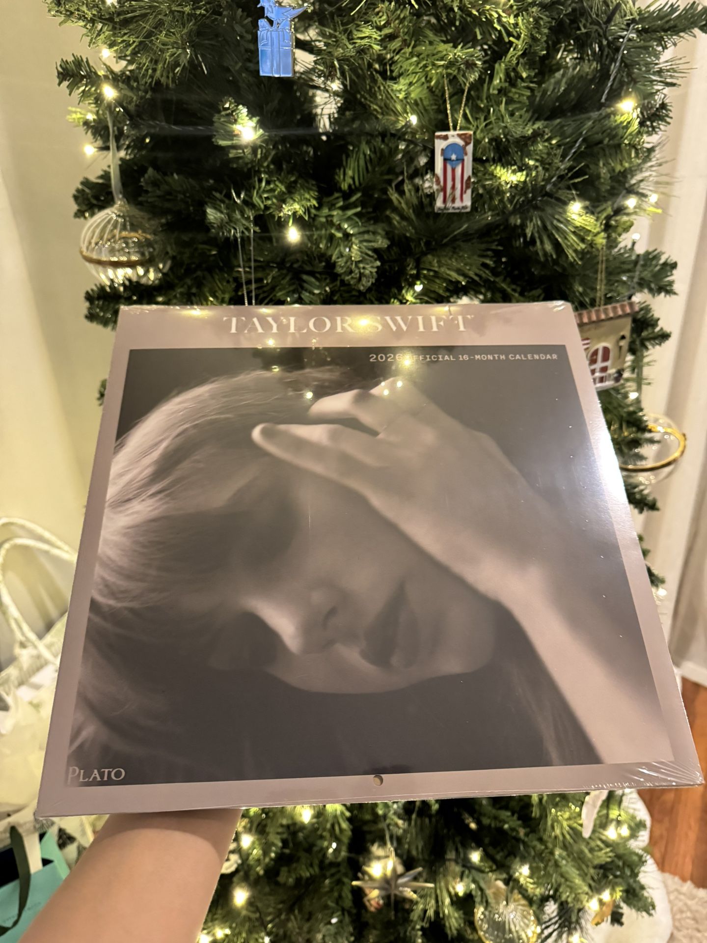 New Taylor Swift 2026 Official 16-Month Calendar