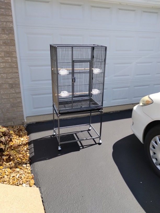 Bird Cage