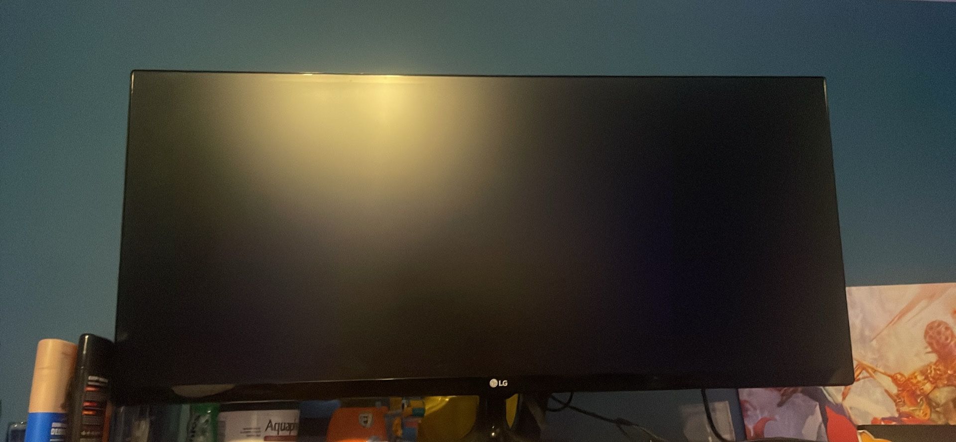 used lg monitor