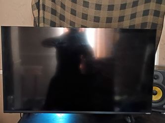 Vizio TV (Repairable)