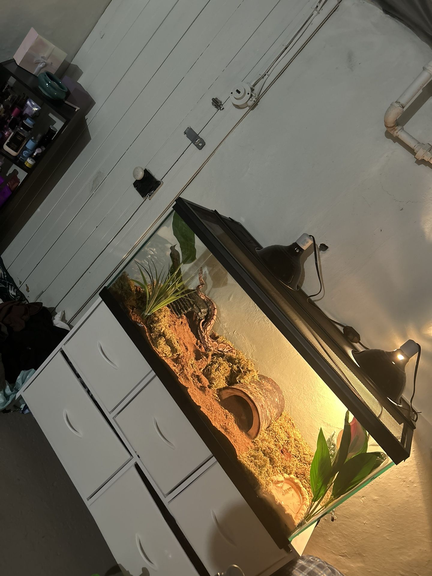 40 gallon reptile tank