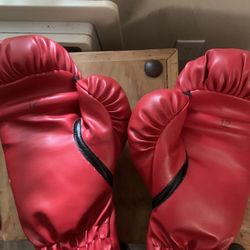 Xl Boxing Gloves