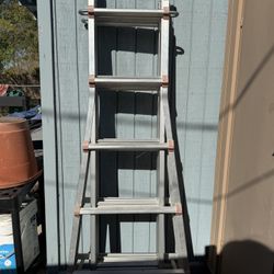 Little Giant Ladder Model 22 Type 1 250-lb Rated