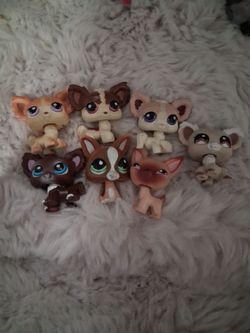 AUTHENTIC LPS CHIHUAHUAS