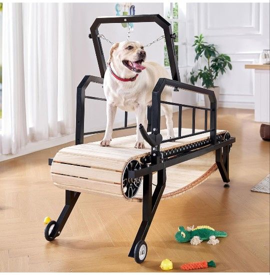 Dog Treadmill 