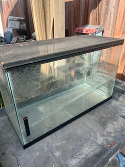 Fish tank