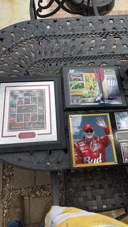 NASCAR Plaques- Dale Earnhardt & Jr./ Kyle Bush