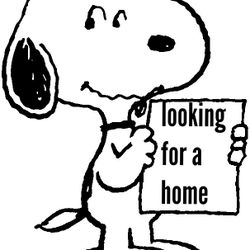 Beautiful Dog