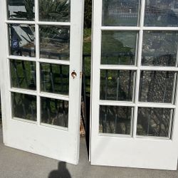 White Beveled Ten Light French Doors