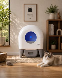 In box! Self cleaning cat litter box self cleaning auto cat litter box I can do delivery