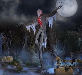 Home Accents Holiday 15 Ft Animated LED Gally-Crow Halloween Decor 25SV25076
