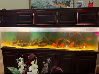 Fish tank