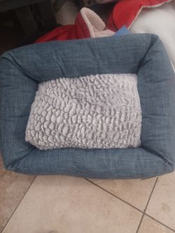 Pet Beds And Pup For Sale