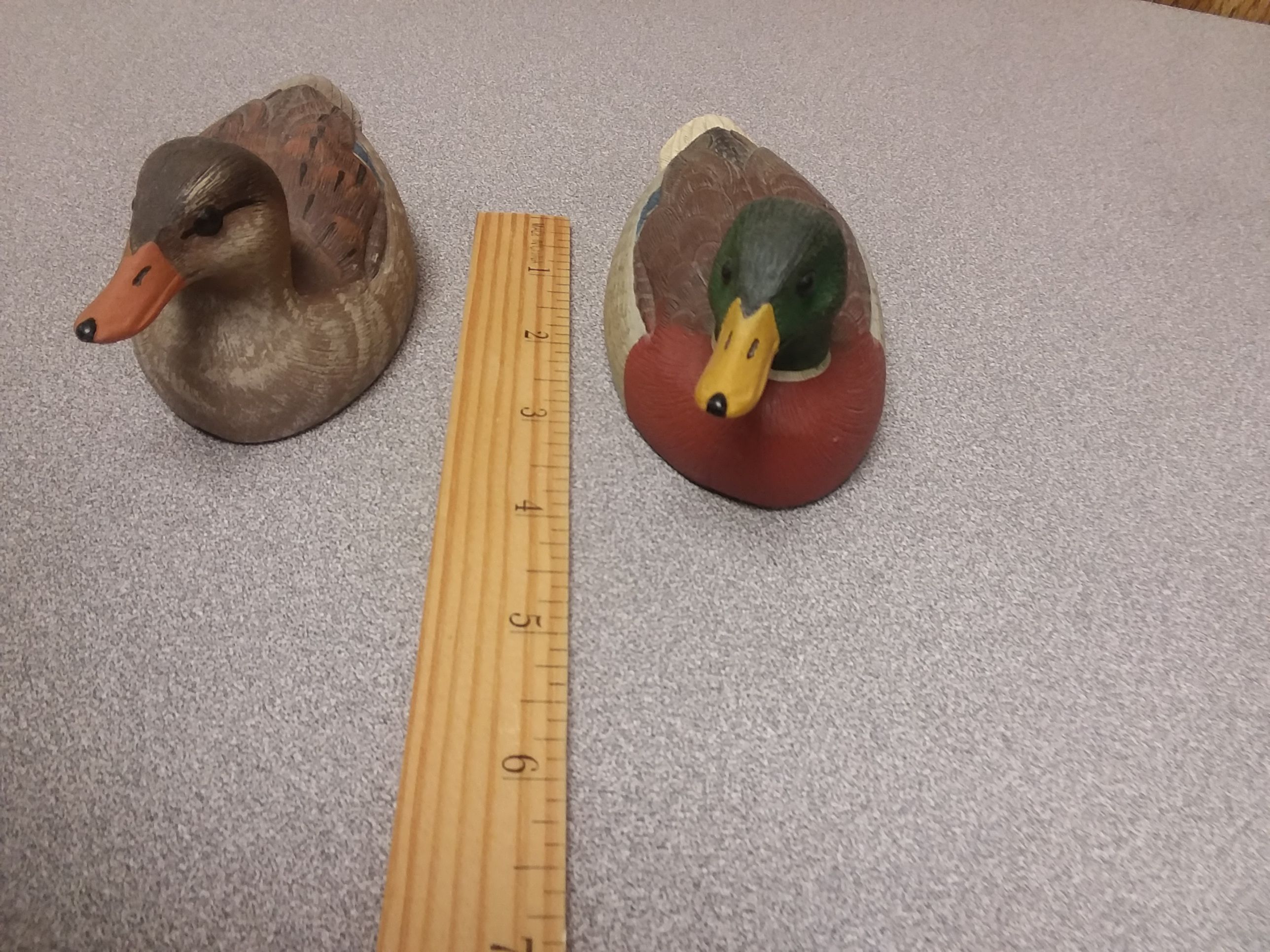 Ducks