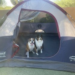 Coleman 6-Person Dome Tent