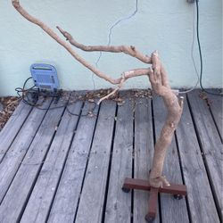 Bird Stand 