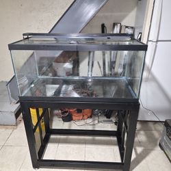 40 Gal Breeder Fish Tank