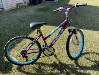 Road Master kids bike