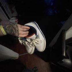 Jordan 3's