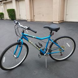 Men's Bicycle 