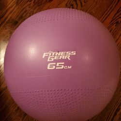 Purple Fitness Gear Ball 