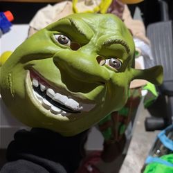 Shrek Kids Costume 