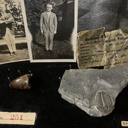 Antique Fossil Display Case Box Set Of 2 With Pics Locker Find