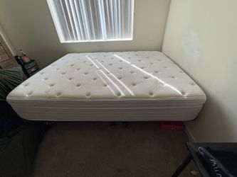 Enso sleep system/mat/control included