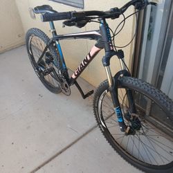Giant Talon 29 Inch Men's Bikecycle Disk Breaks Hardtail ready To Ride  $150 OBO 