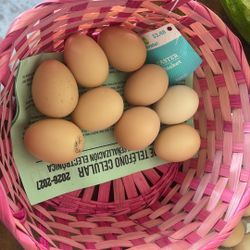 Eggs