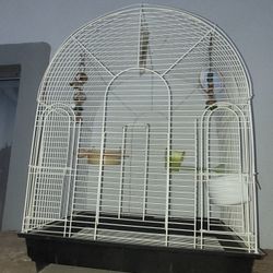 Bird cage 