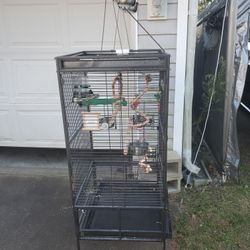 Bird Cage