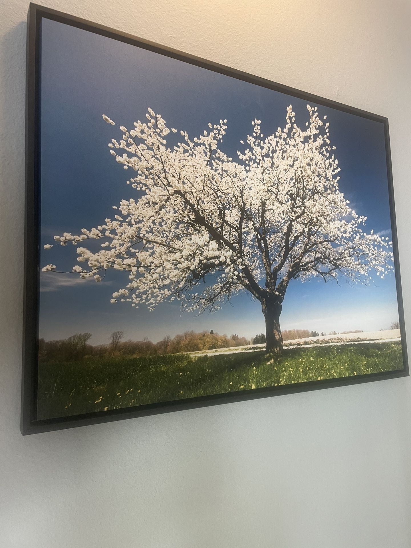 Beautiful big! Perfect condition, canvas.