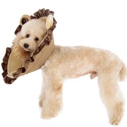 Dog Alfie Lion Mane Protective E-Collar Cone  M Original Package