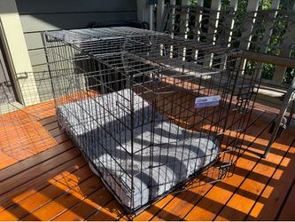 Kennel or Crate - 36-Inch iCrate for Medium-Large Breeds, 41-70 lbs, Single Door Folding Dog Crate