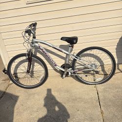 Schwinn Bike