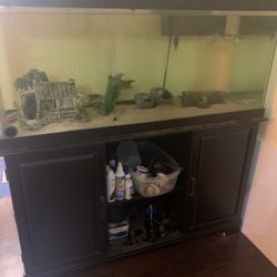 75 Gallon Full Set Up