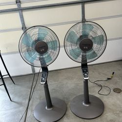 Tall, Blue And Gray Oscillating Fans.