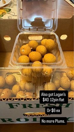Logan’s Lychee