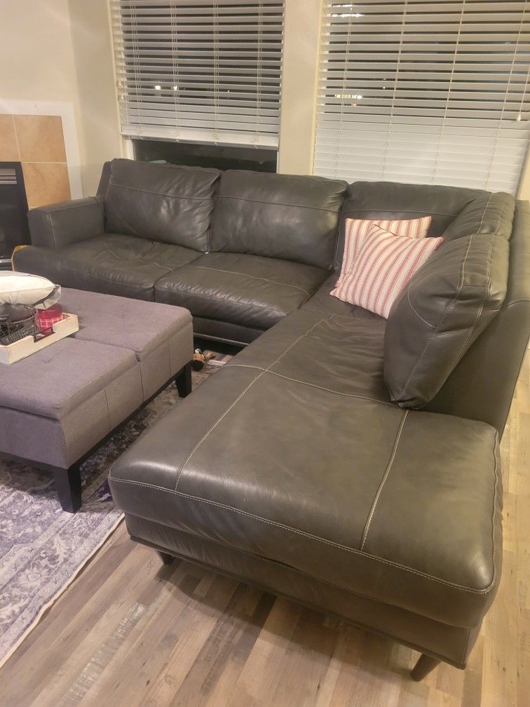 Sectional Couch